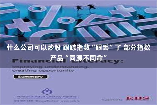 什么公司可以炒股 跟踪指数“跟丢”了 部分指数产品“同源不同命”