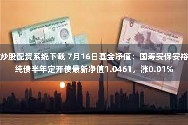 炒股配资系统下载 7月16日基金净值：国寿安保安裕纯债半年定开债最新净值1.0461，涨0.01%