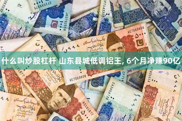 什么叫炒股杠杆 山东县城低调铝王, 6个月净赚90亿