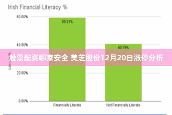 股票配资哪家安全 美芝股份12月20日涨停分析