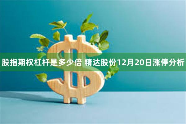 股指期权杠杆是多少倍 精达股份12月20日涨停分析