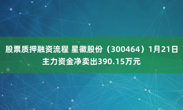 股票质押融资流程 星徽股份（300464）1月21日主力资金净卖出390.15万元