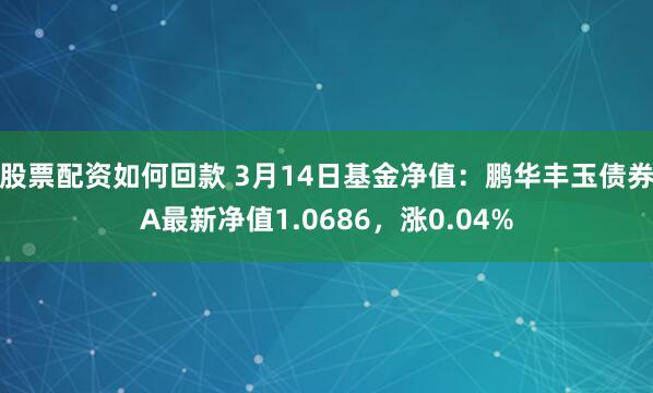 股票配资如何回款 3月14日基金净值：鹏华丰玉债券A最新净值1.0686，涨0.04%