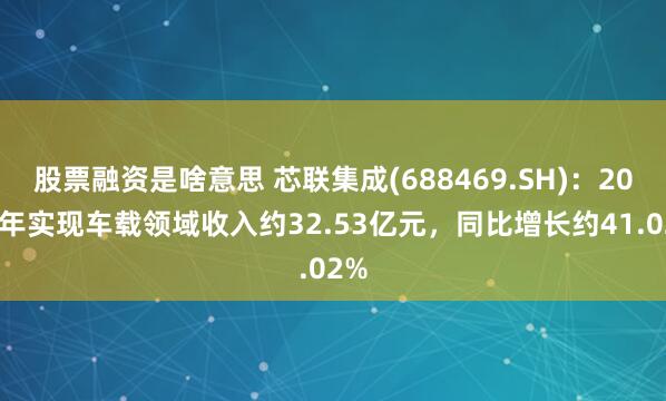 股票融资是啥意思 芯联集成(688469.SH)：2024年实现车载领域收入约32.53亿元，同比增长约41.02%