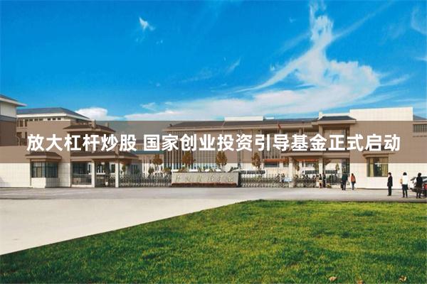 放大杠杆炒股 国家创业投资引导基金正式启动